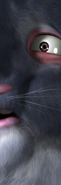 chinchilla_crop.jpg